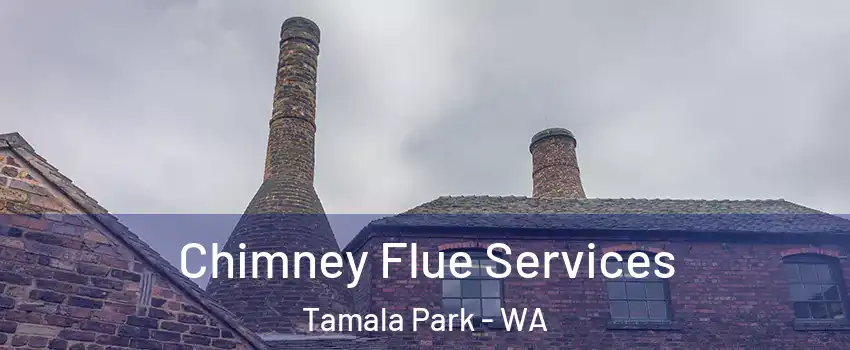 Chimney Flue Services Tamala Park - WA
