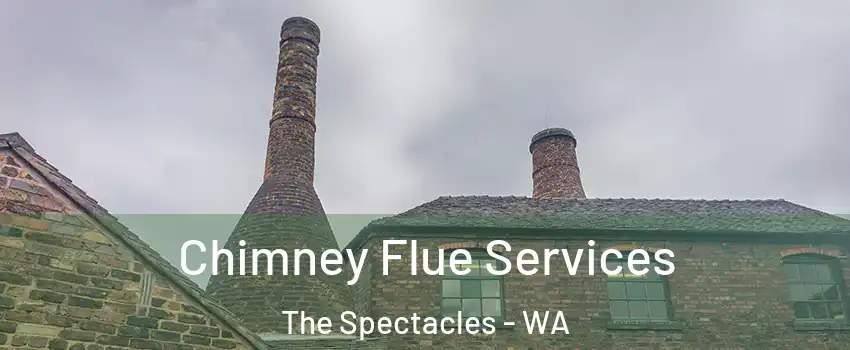 Chimney Flue Services The Spectacles - WA