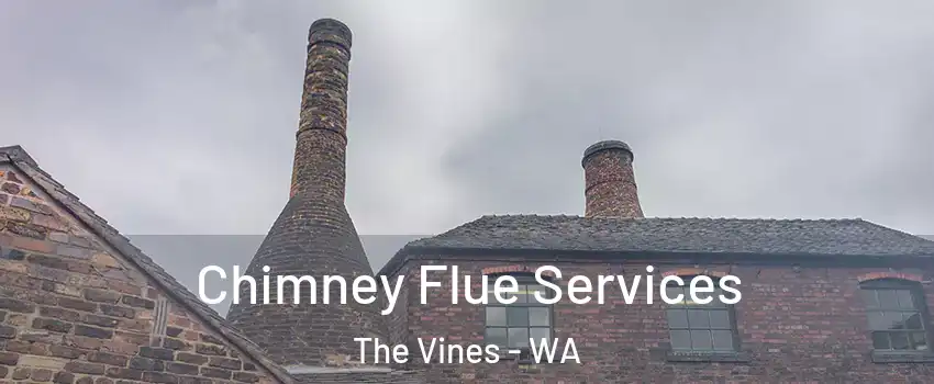 Chimney Flue Services The Vines - WA