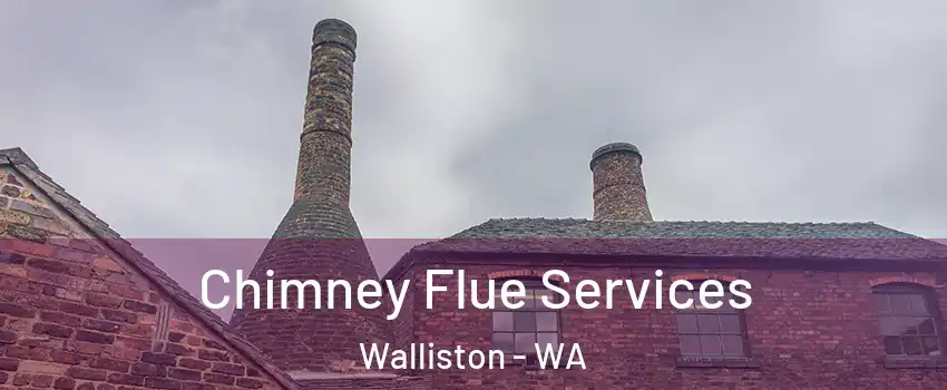 Chimney Flue Services Walliston - WA