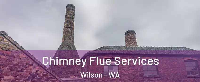 Chimney Flue Services Wilson - WA