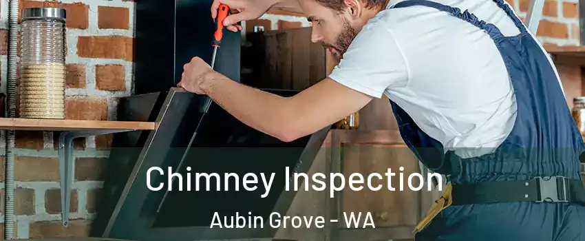 Chimney Inspection Aubin Grove - WA
