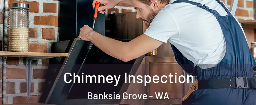 Chimney Inspection Banksia Grove - WA