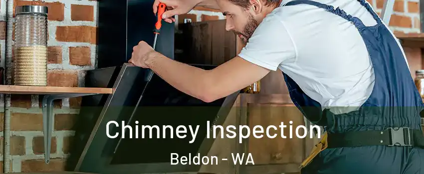 Chimney Inspection Beldon - WA