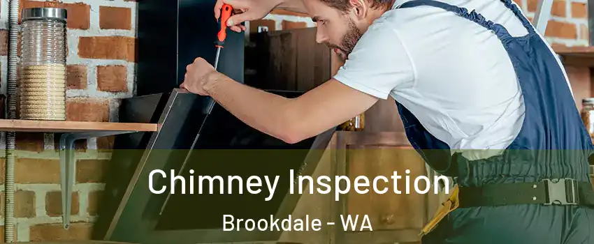 Chimney Inspection Brookdale - WA