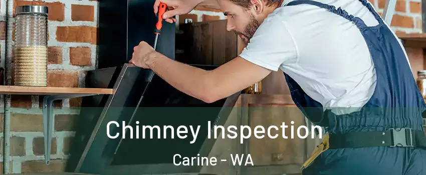 Chimney Inspection Carine - WA