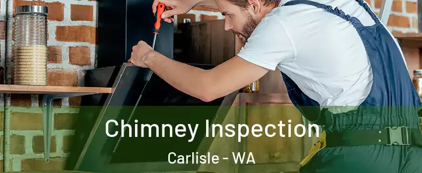 Chimney Inspection Carlisle - WA