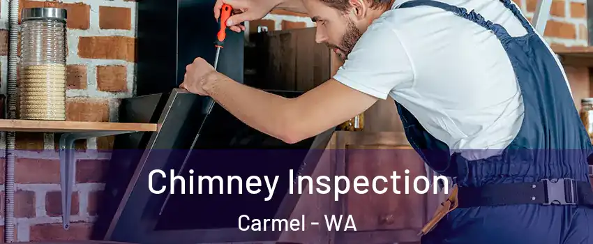Chimney Inspection Carmel - WA