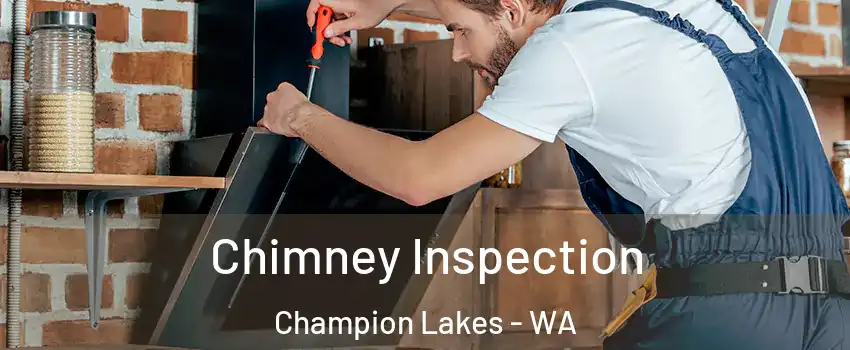 Chimney Inspection Champion Lakes - WA