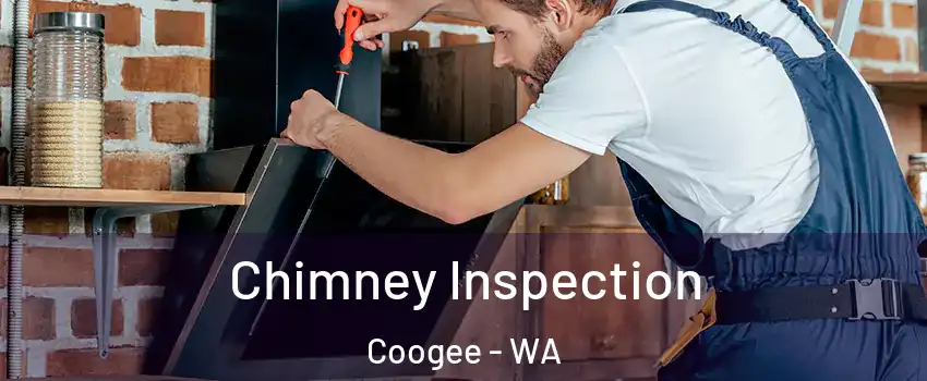 Chimney Inspection Coogee - WA