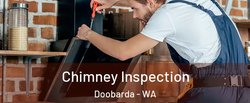 Chimney Inspection Doobarda - WA