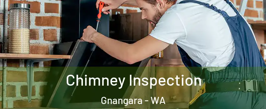 Chimney Inspection Gnangara - WA