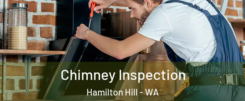 Chimney Inspection Hamilton Hill - WA