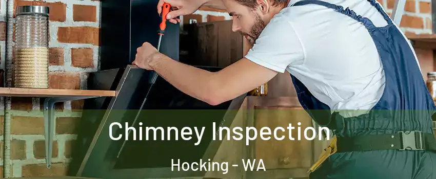 Chimney Inspection Hocking - WA