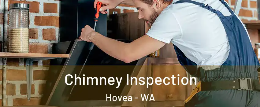 Chimney Inspection Hovea - WA