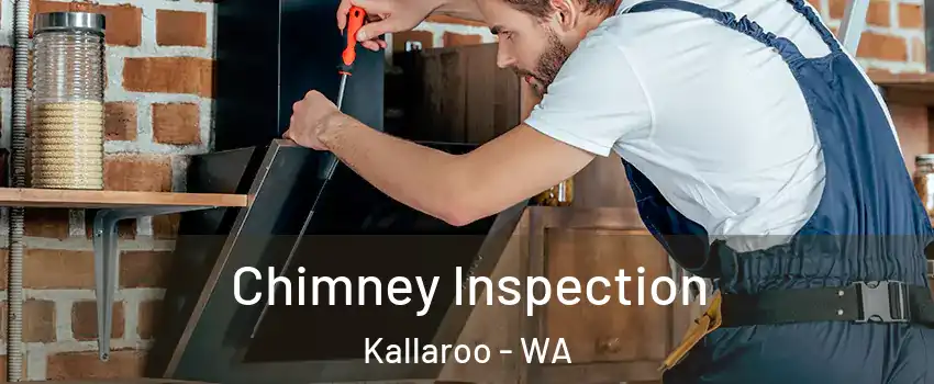 Chimney Inspection Kallaroo - WA