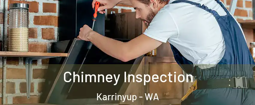 Chimney Inspection Karrinyup - WA