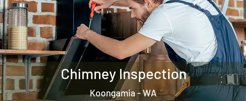 Chimney Inspection Koongamia - WA