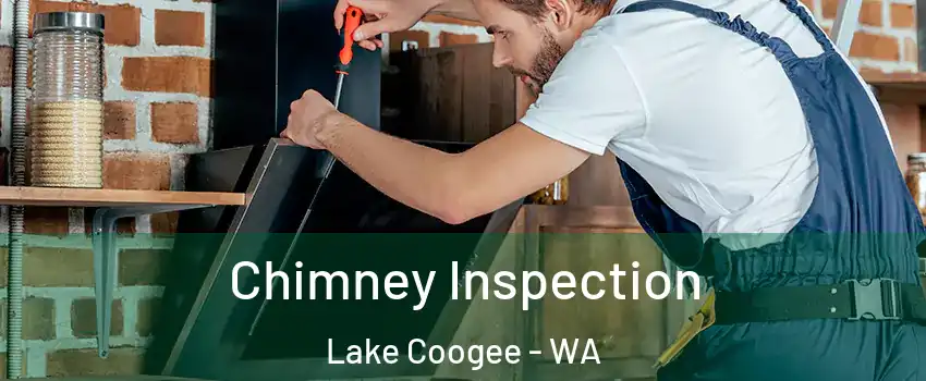 Chimney Inspection Lake Coogee - WA