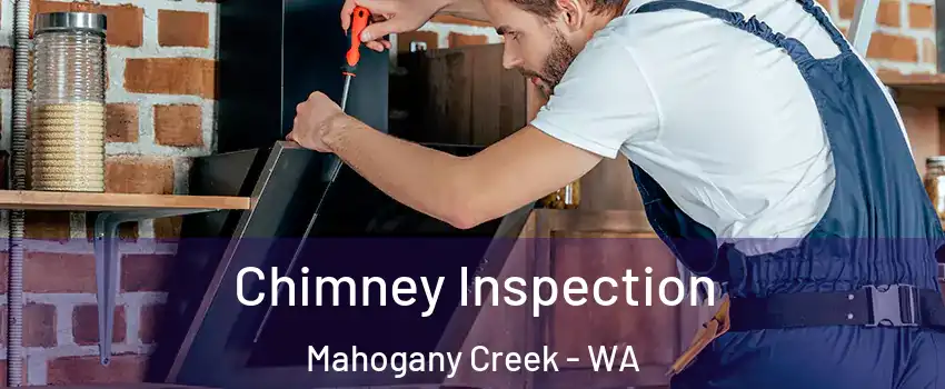 Chimney Inspection Mahogany Creek - WA