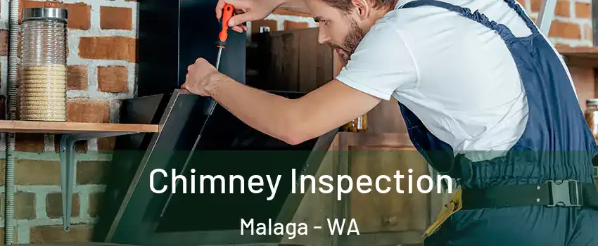 Chimney Inspection Malaga - WA