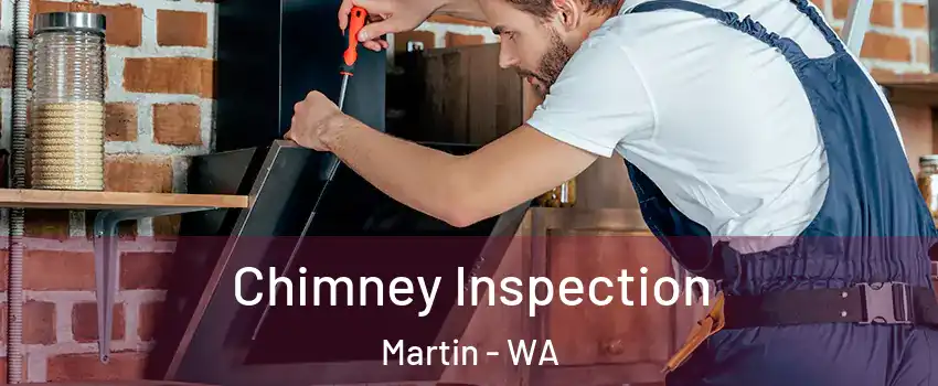 Chimney Inspection Martin - WA
