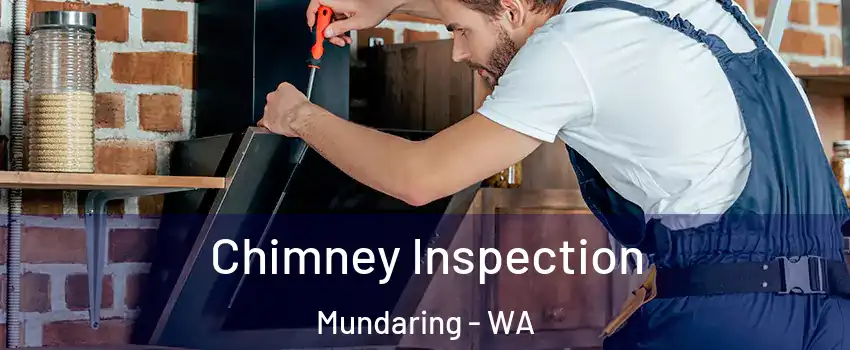 Chimney Inspection Mundaring - WA