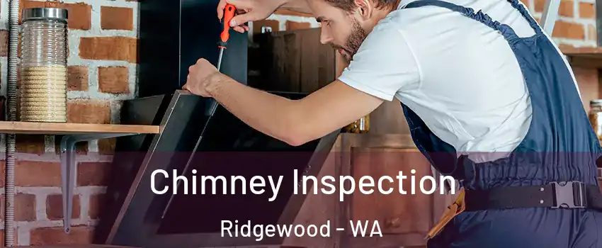 Chimney Inspection Ridgewood - WA