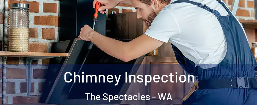 Chimney Inspection The Spectacles - WA