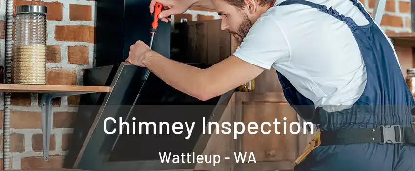 Chimney Inspection Wattleup - WA