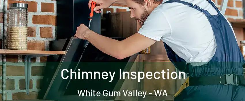 Chimney Inspection White Gum Valley - WA