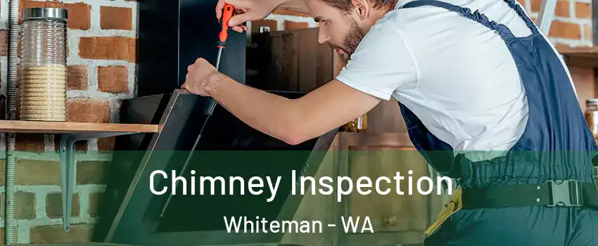 Chimney Inspection Whiteman - WA
