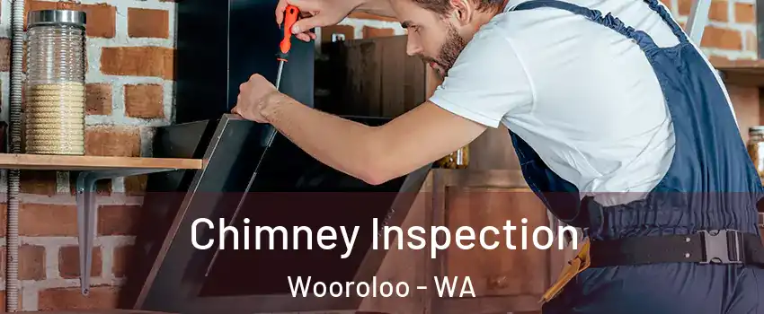 Chimney Inspection Wooroloo - WA