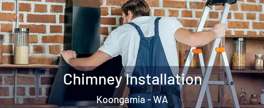 Chimney Installation Koongamia - WA