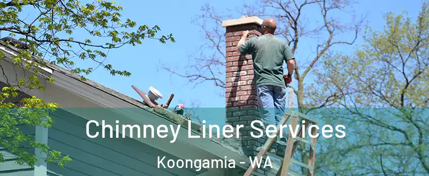 Chimney Liner Services Koongamia - WA