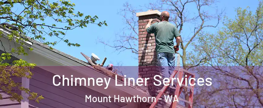 Chimney Liner Services Mount Hawthorn - WA