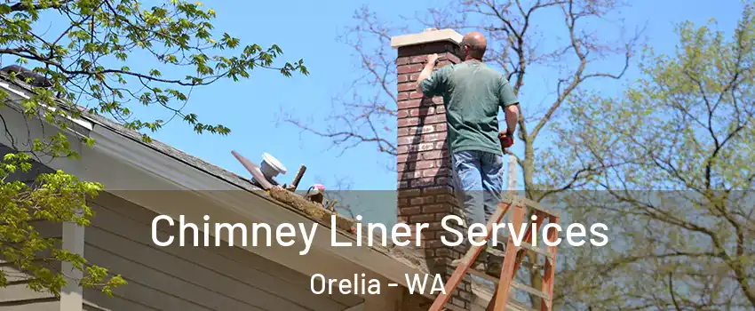 Chimney Liner Services Orelia - WA