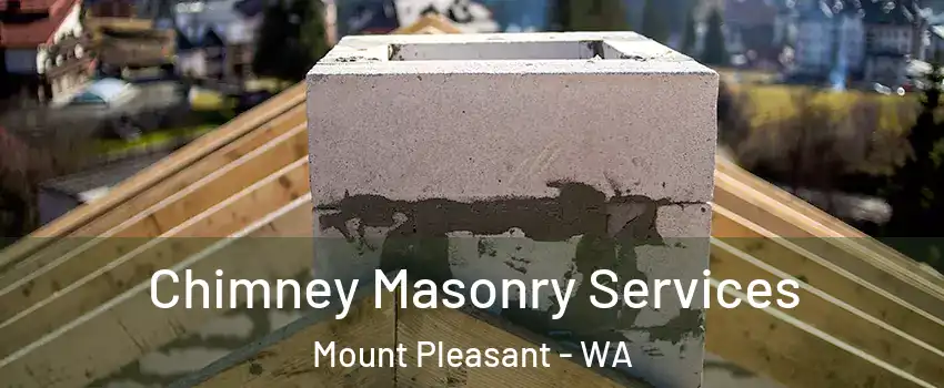  Chimney Masonry Services Mount Pleasant - WA
