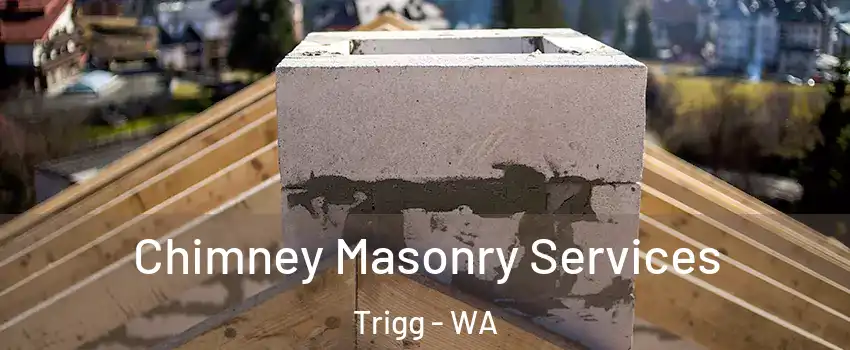 Chimney Masonry Services Trigg - WA