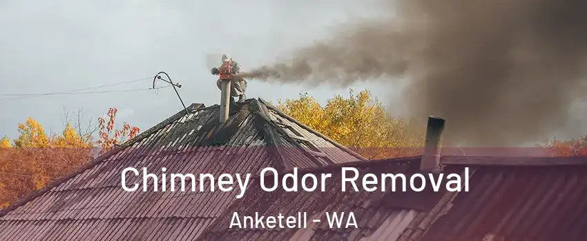 Chimney Odor Removal Anketell - WA