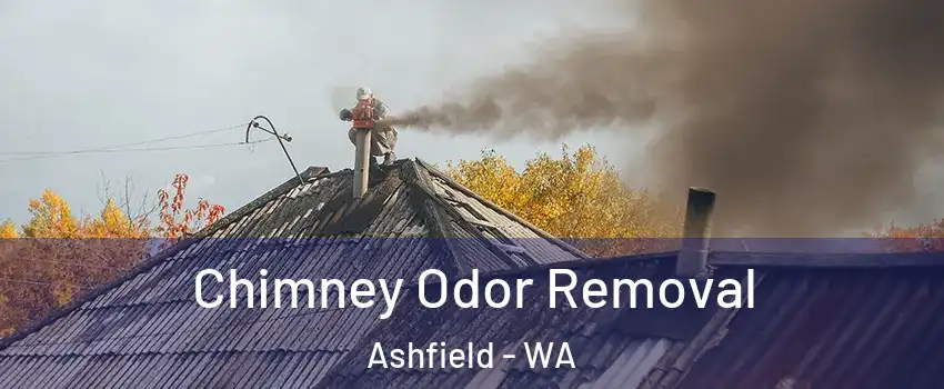 Chimney Odor Removal Ashfield - WA