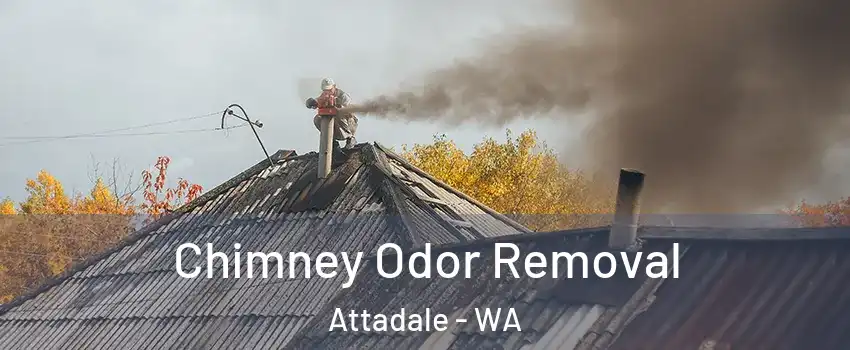 Chimney Odor Removal Attadale - WA