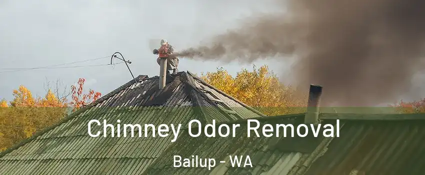 Chimney Odor Removal Bailup - WA