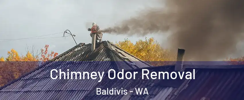Chimney Odor Removal Baldivis - WA