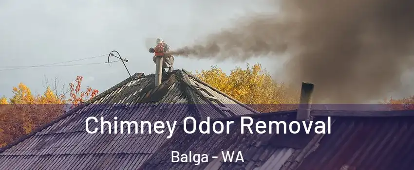 Chimney Odor Removal Balga - WA
