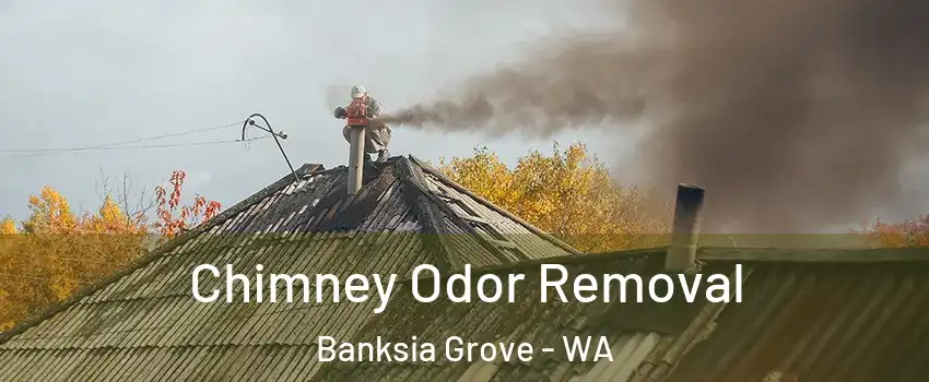 Chimney Odor Removal Banksia Grove - WA