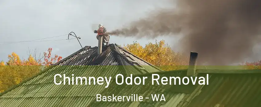 Chimney Odor Removal Baskerville - WA