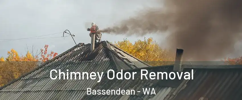 Chimney Odor Removal Bassendean - WA