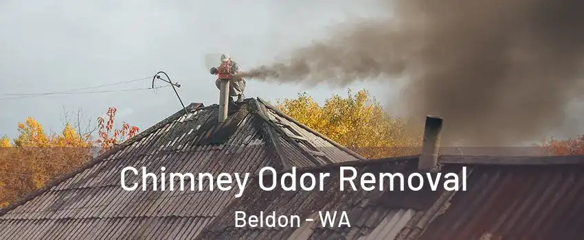 Chimney Odor Removal Beldon - WA