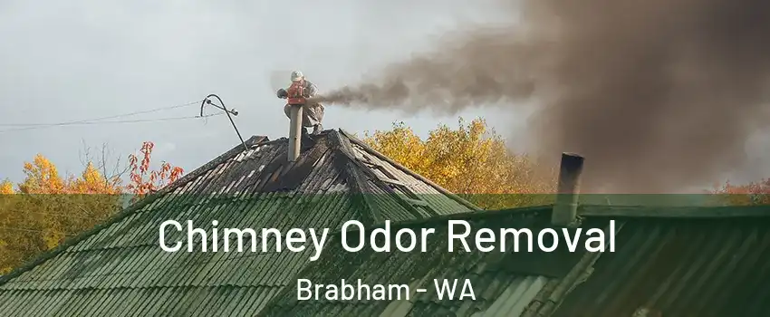 Chimney Odor Removal Brabham - WA